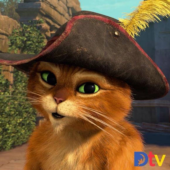 Meet your Posher, Susie - Picture 1 of 1